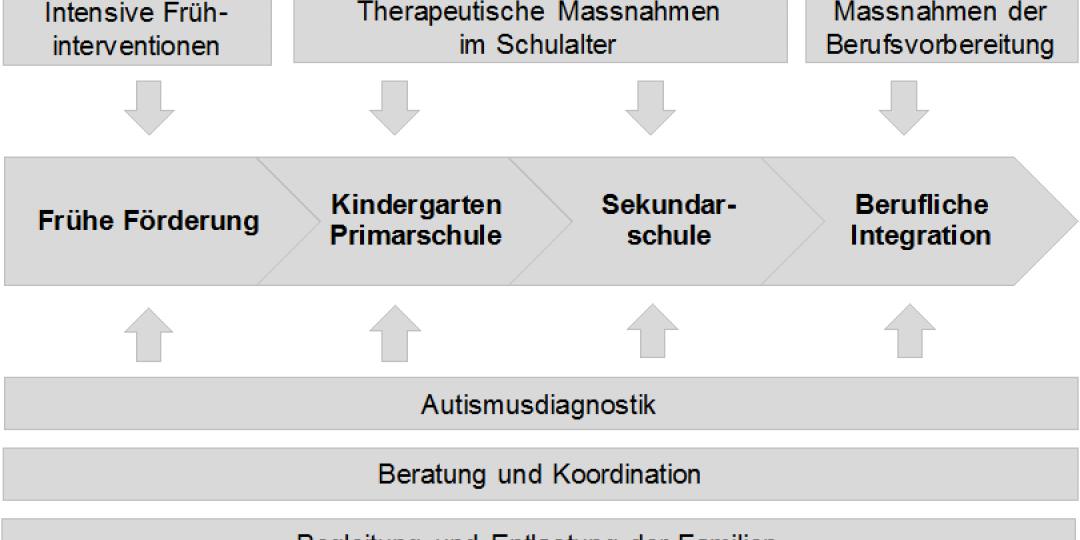 Abbildung 1: Handlungsfelder der Förderung und Begleitung von Kindern und Jugendlichen mit ASS