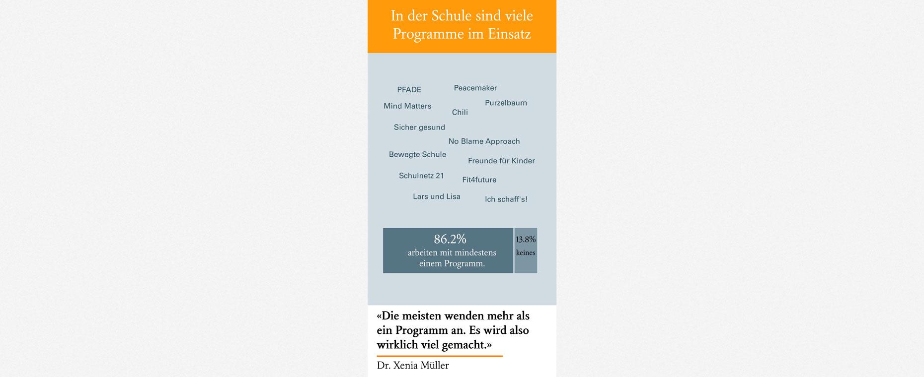 Visualisierung der Programme im Einsatz in der Schule. 86.2% arbeiten mit mindestem einem Programm.